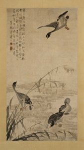 砂州に降りるガチョウ